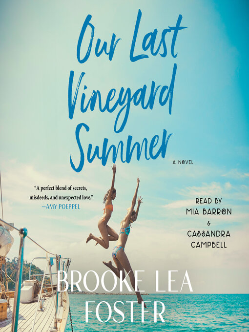 Title details for Our Last Vineyard Summer by Brooke Lea Foster - Wait list